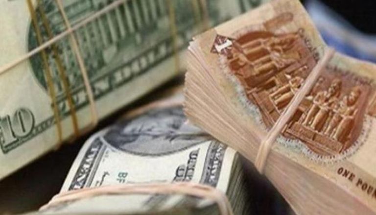 سعر-الدولار-اليوم-14/10/2024-في-البنوك-المصرية