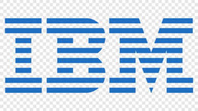 ibm تحتفل-بـ-70-عامًا-من-العمل-بمصر-في-أحضان-الأهرامات